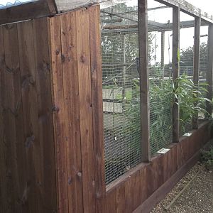 Freshly stained African Parrots Aviary, 16th October 2014