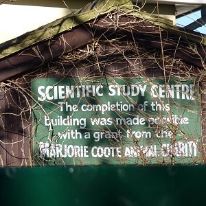 Old building, December 2014