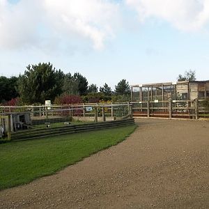 Approaching the main part of the collection, 16th October 2014