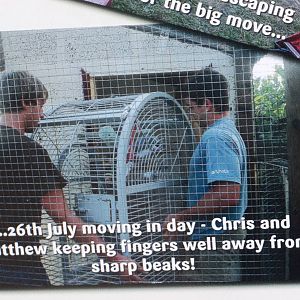 Close-up of development board, 16th October 2014