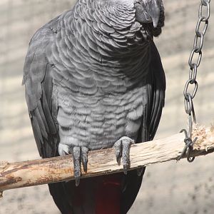 Eek, is that Charlie or Charlie 2? 23rd October 2014