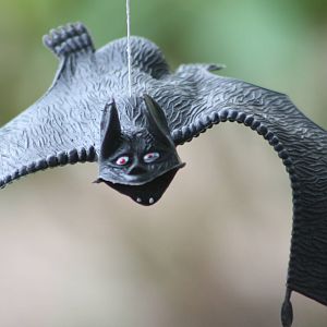 Halloween decoration, 23rd October 2014