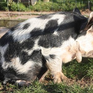 Sitting in the sun waiting for a senorita to show, 23rd October 2014