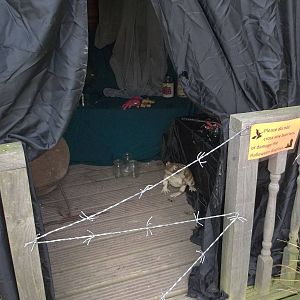 Halloween decorations, 23rd October 2014