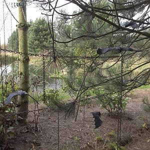 Halloween decorations, 23rd October 2014