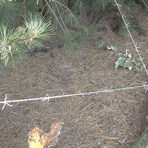 Halloween decorations, 23rd October 2014