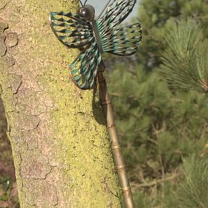 Decoration in Secret Garden, 23rd October 2014