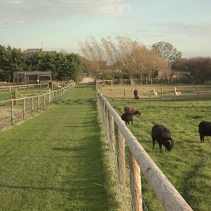 My final paddocks potter of 2014 nearly over, 23rd October 2014