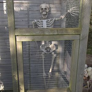 Halloween decoration, 23rd October 2014