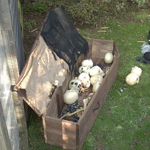 Halloween decorations, 23rd October 2014