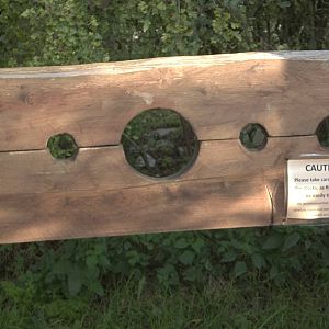 Halloween decoration, 23rd October 2014