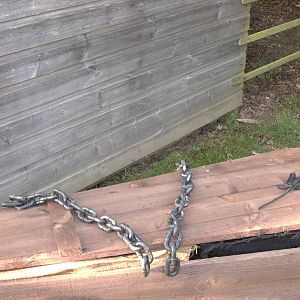 Halloween decoration, 23rd October 2014