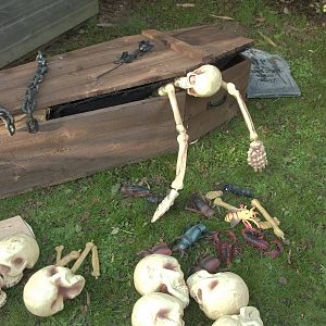 Halloween decorations, 23rd October 2014