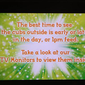 Tiger television screen, 27th October 2014