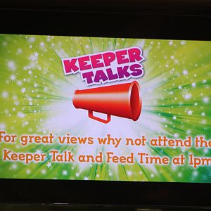 Tiger television screen, 27th October 2014