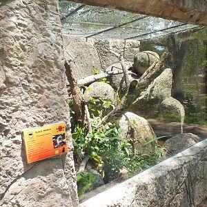 Snake Enclosure