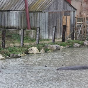 Hippopotamus Lake, 27th October 2014