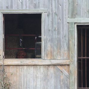 Bars still have their place! 27th October 2014