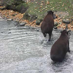 End of swim, 27th October 2014