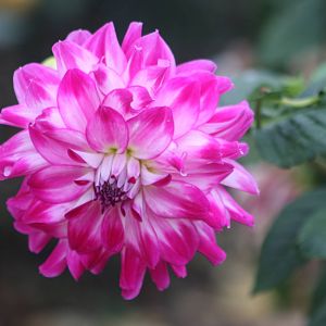 I could maybe hazard a guess at this one, 27th October 2014