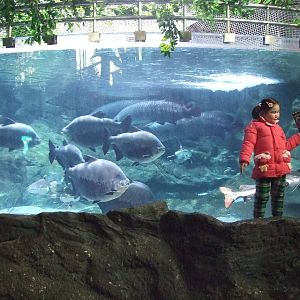 Beijing Aquarium