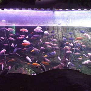 Beijing Aquarium