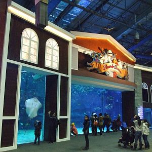 Beijing Aquarium