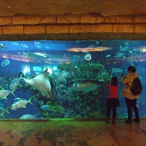 Beijing Aquarium