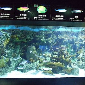 Beijing Aquarium