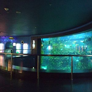 Beijing Aquarium