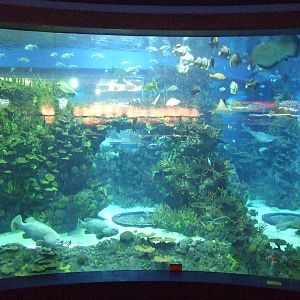 Beijing Aquarium