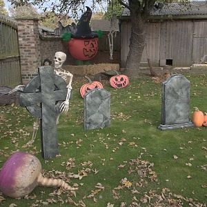 Halloween decorations, 27th October 2014