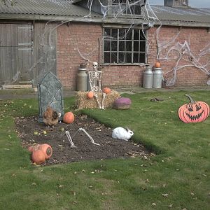 Halloween decorations, 27th October 2014