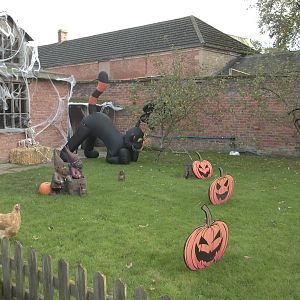 Halloween decorations, 27th October 2014