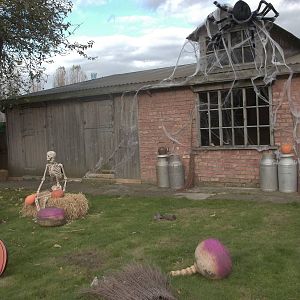 Halloween decorations, 27th October 2014