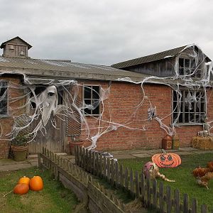 Halloween decorations, 27th October 2014