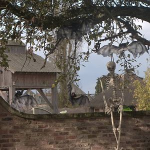 Halloween decorations, 27th October 2014