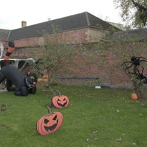 Halloween decorations, 27th October 2014