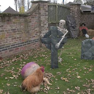Halloween decorations, 27th October 2014