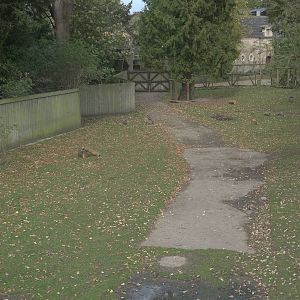 Bird Walk memories, 27th October 2014