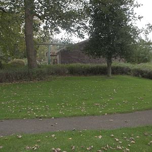 Where the Serval sprang and the Mangabey munched, 27th October 2014