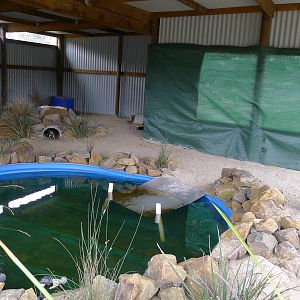Little Blue Penguin enclosure