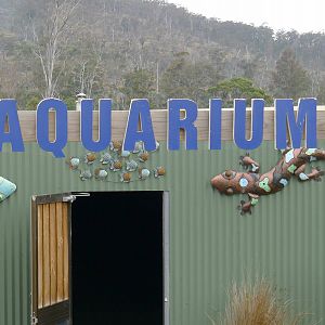 Aquarium