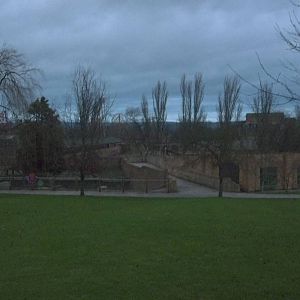 Dusk starts to fall over the Tiger and Red Panda exhibits, 22nd December 20
