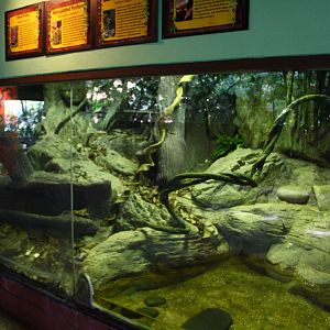 Snake House - Mixed exhibit