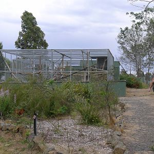 Lion tiled macques enclosure