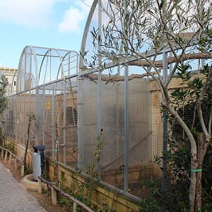 Primate & Small Mammal Enclosures - MonteKristo Animal Park, Malta