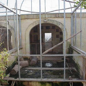 Jungle Cat Enclosure - MonteKristo Animal Park, Malta