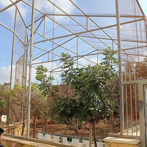 Mixed Enclosure/ Aviary - MonteKristo Animal Park, Malta