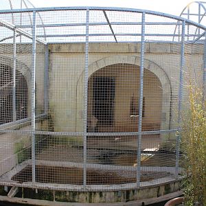 Puma Enclosure - MonteKristo Animal Park, Malta